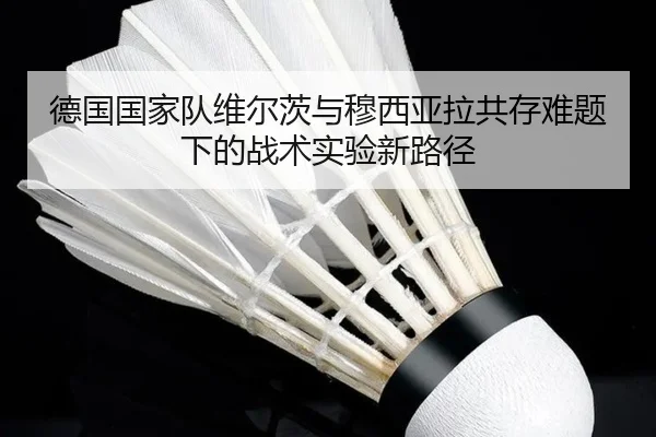 德国国家队维尔茨与穆西亚拉共存难题下的战术实验新路径