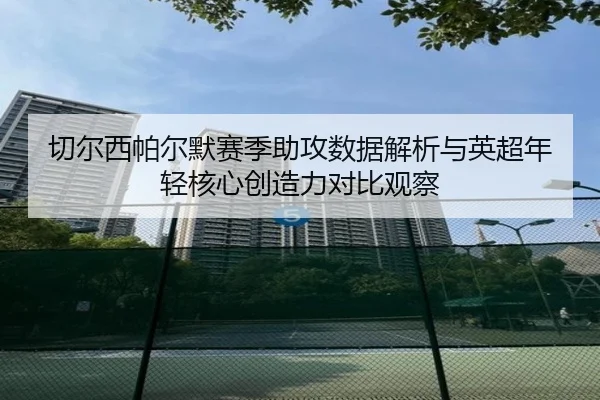 切尔西帕尔默赛季助攻数据解析与英超年轻核心创造力对比观察