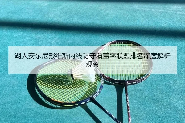 湖人安东尼戴维斯内线防守覆盖率联盟排名深度解析观察