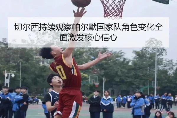切尔西持续观察帕尔默国家队角色变化全面激发核心信心