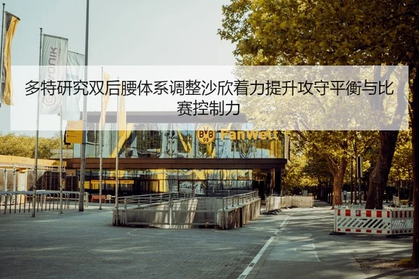 多特研究双后腰体系调整沙欣着力提升攻守平衡与比赛控制力